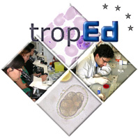 Course: Parasitosis and Basic Laboratory. This course is part of the Italian TropEdEurop
